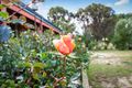 Property photo of 7 Mudlark Place Vasse WA 6280