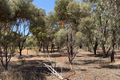 Property photo of 17 Brookton Highway Brookton WA 6306