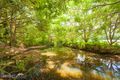 Property photo of 775 Browns Creek Road Eerwah Vale QLD 4562