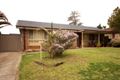 Property photo of 19 Selby Place Minto NSW 2566