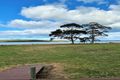 Property photo of 32 Sunshine Court St Helens TAS 7216
