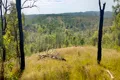 Property photo of 542 Gillens Siding Road Moolboolaman QLD 4671