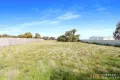 Property photo of 17 McIntyre Street Warracknabeal VIC 3393