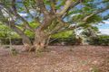 Property photo of 9 St Aubins Street Scone NSW 2337