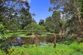 Property photo of 666 Eumundi Noosa Road Doonan QLD 4562