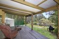 Property photo of 666 Eumundi Noosa Road Doonan QLD 4562
