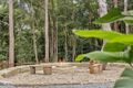Property photo of 2200 Springbrook Road Springbrook QLD 4213