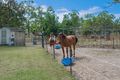 Property photo of 14 Andalusian Place Black River QLD 4818