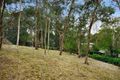 Property photo of 119 The Boulevard North Warrandyte VIC 3113