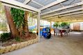 Property photo of 11 Conifer Street Hillcrest QLD 4118