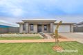 Property photo of 24 Mitchell Court Gol Gol NSW 2738