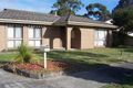 Property photo of 53 Whimbrel Crescent Carrum Downs VIC 3201