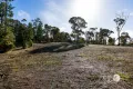 Property photo of 41 Martin Street McKenzie Hill VIC 3451