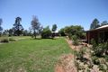 Property photo of 59 Devlin Street Coolamon NSW 2701