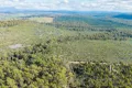 Property photo of Bradys Creek Road Parkham TAS 7304