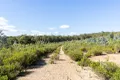 Property photo of Bradys Creek Road Parkham TAS 7304