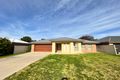 Property photo of 14 Britton Court Jindera NSW 2642