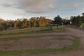 Property photo of 5561 Oxley Highway Ellenborough NSW 2446