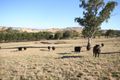 Property photo of 8 Lawrances Road Yea VIC 3717