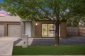 Property photo of 31 Littlejohn Lane Franklin ACT 2913