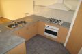 Property photo of 19 Ryan Place Ridleyton SA 5008