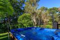 Property photo of 7 Investigator Avenue Cooloola Cove QLD 4580