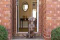 Property photo of 15 Parsons Street West Wollongong NSW 2500