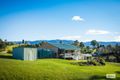 Property photo of 57 Adams Street Bemboka NSW 2550