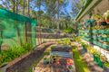 Property photo of 70 Beaconsfield Road Sandy Creek QLD 4515