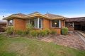 Property photo of 116 Argus Street Cheltenham VIC 3192