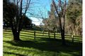 Property photo of 246 Comboyne Road Wingham NSW 2429