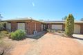 Property photo of 17 Dridan Avenue Renmark SA 5341