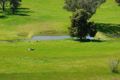Property photo of 621 Naroogal Road Bakers Swamp NSW 2820