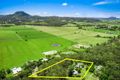 Property photo of 250 Yandina Bli Bli Road Maroochy River QLD 4561