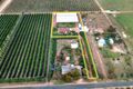 Property photo of 93 Cox Road Sunlands SA 5322
