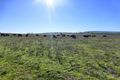 Property photo of 155 Crescent Orchard Road Gemalla NSW 2795