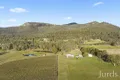 Property photo of 658 Wollombi Road Broke NSW 2330