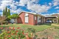 Property photo of 310 Walnut Avenue Mildura VIC 3500