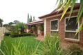 Property photo of 17 Lincoln Avenue Manningham SA 5086