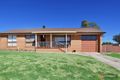 Property photo of 88 Damien Avenue Greystanes NSW 2145