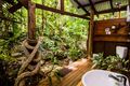 Property photo of 109 Camelot Close Cape Tribulation QLD 4873