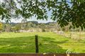 Property photo of 286 Beaconsfield-Emerald Road Beaconsfield VIC 3807