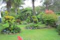 Property photo of 54 O'Connells Point Road Wallaga Lake NSW 2546