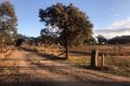 Property photo of 50 Annies Rock Road Gulgong NSW 2852