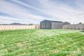 Property photo of 16 Icely Street Eglinton NSW 2795