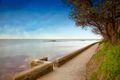 Property photo of 2/113 Bluff Road Black Rock VIC 3193