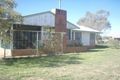 Property photo of 17-19 Warrie Street Gulargambone NSW 2828