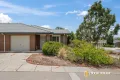 Property photo of 6/139-141 Macfarlane Burnet Avenue Macgregor ACT 2615