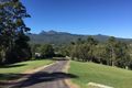 Property photo of 84 Brays Creek Road Tyalgum NSW 2484