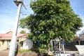 Property photo of 1/86 Lansdowne Terrace Walkerville SA 5081